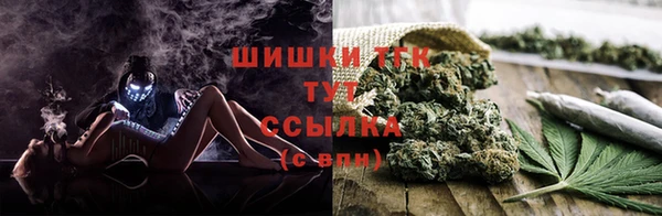 гидра Баксан